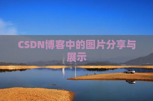CSDN博客中的图片分享与展示